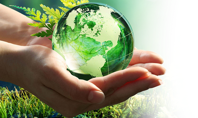 ЭКО страхование